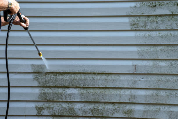 Best Siding Removal and Disposal  in Commercial Point, OH