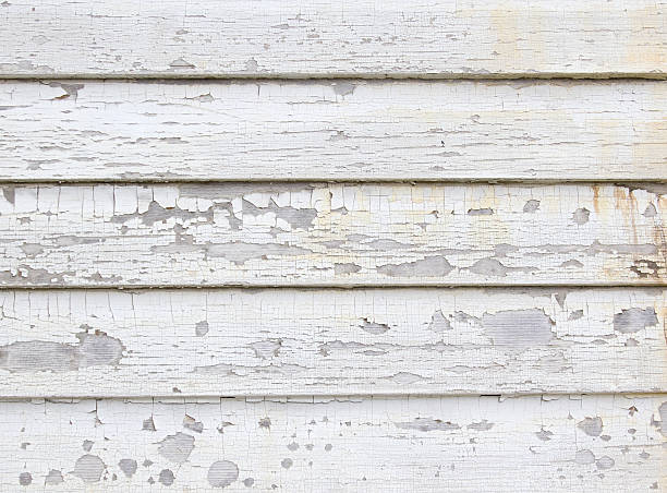 Best Siding Painting and Refinishing  in Commercial Point, OH